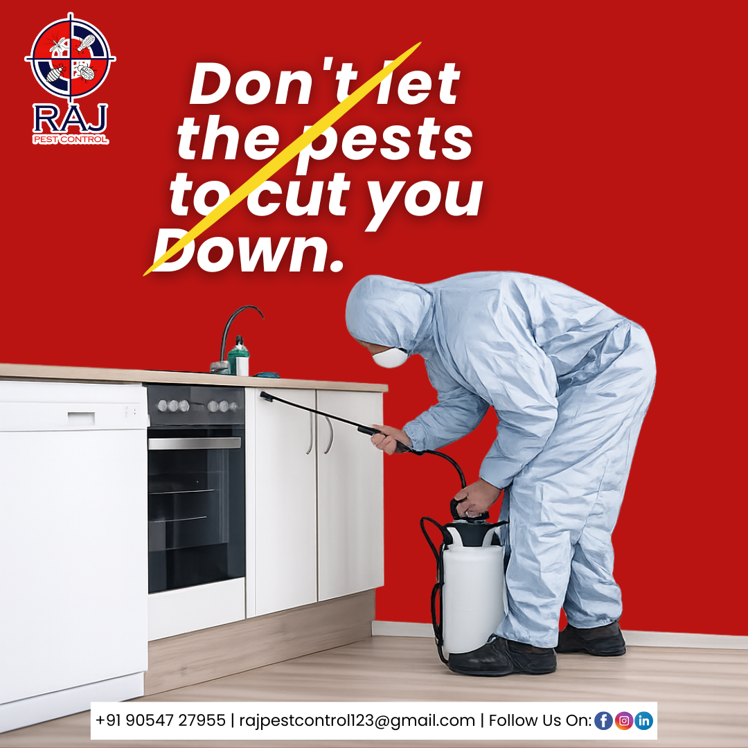 7 Raj Pest Control